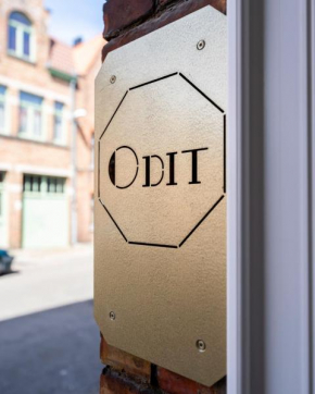 Odit
